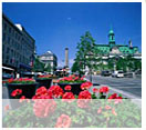 Logement Montreal
